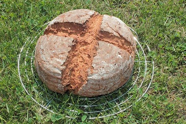 Grain Bread with Kefir