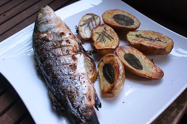 Grilled Citrus Fish