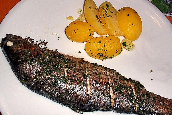 Hearty Garlic Trout, Baked in Foil
