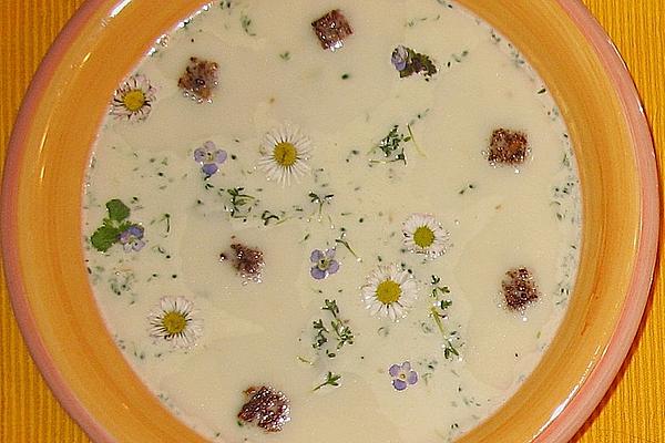 Herbal Cream Soup