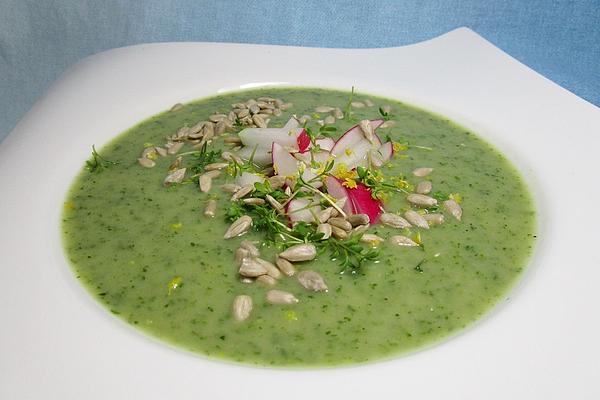 Herbal Foam Soup with Radishes