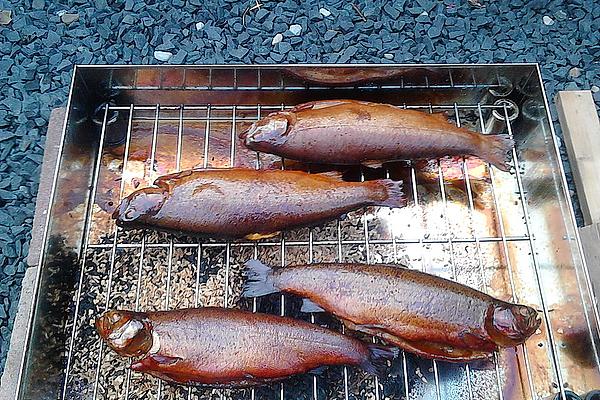 Hot Smoking Of Fish