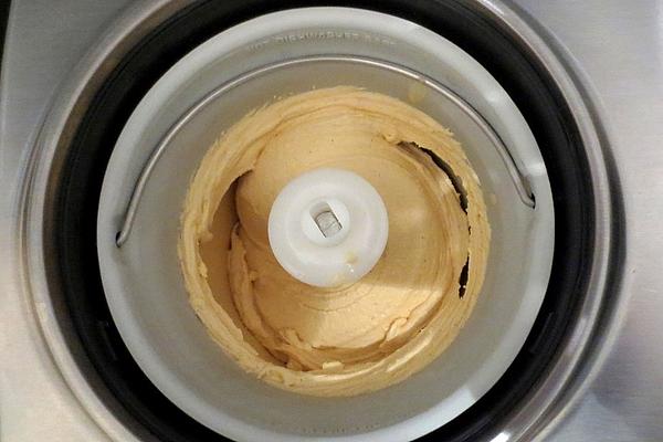 Ice Cream – Basic Recipe with Ice Cream Machine Based on Vanilla Ice Cream