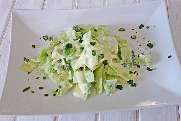 Iceberg Lettuce with Chives – Cream – Sauce