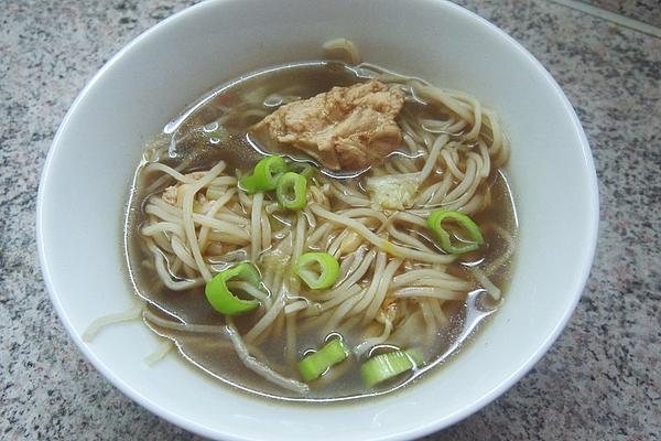 Julian`s Chinese Chicken Noodle Soup