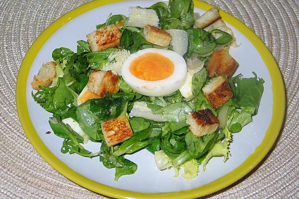 Lamb`s Lettuce with Egg and Bread – Croutons