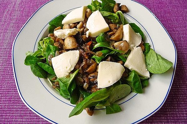 Lamb`s Lettuce with Fried Mushrooms and Mozzarella