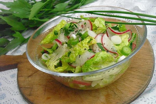 Leaf Salad with Radishes