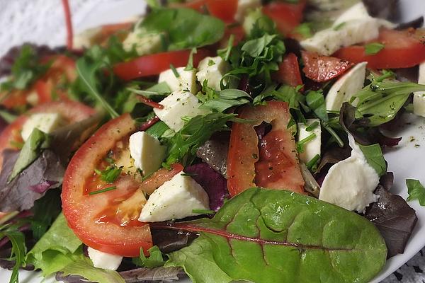 Leaf Salad with Tomato and Mozzarella
