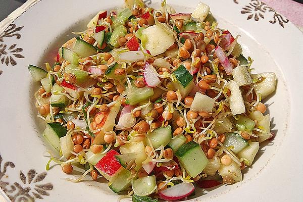 Lentil Sprout Salad