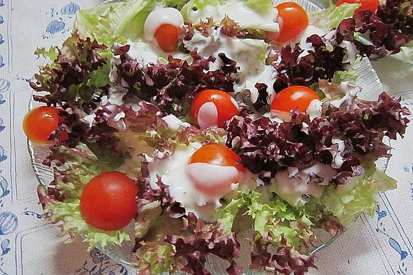 Lollo Rosso Tomato Salad