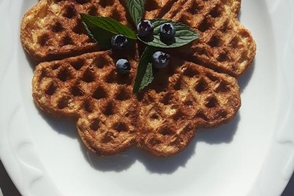 Low Carb Waffles with Oatmeal