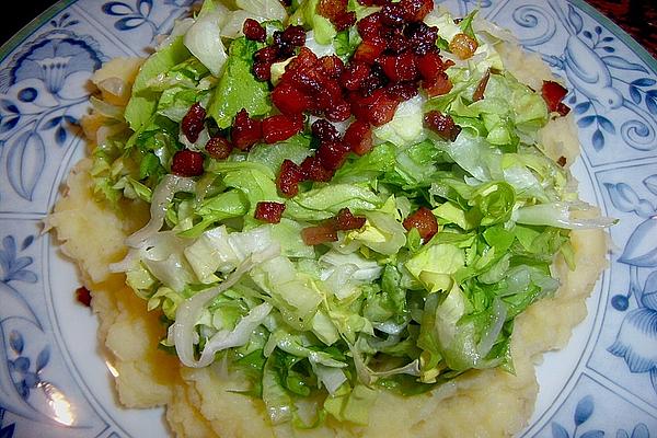 Lower Rhine Endives Among Each Other