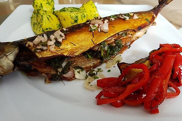 Mackerel in Oven