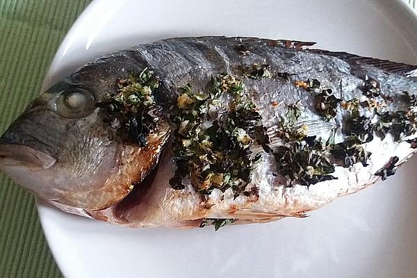 Marinated Sea Bream from Grill