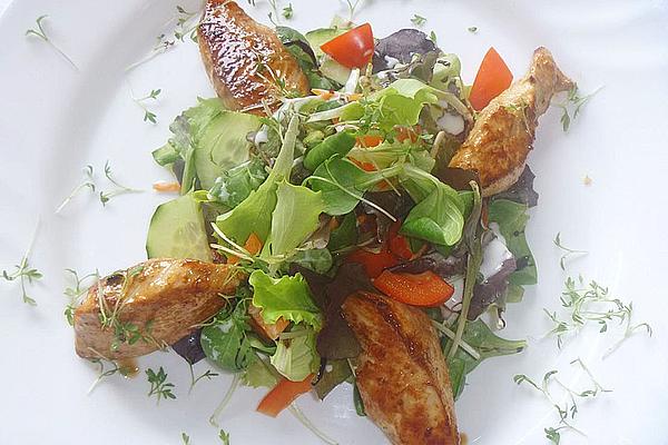 Marinated Turkey Strips on Mixed Salad