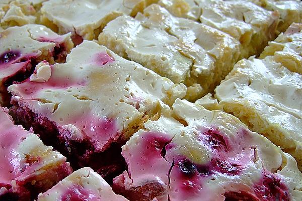 Moist Sheet Cake with Rhubarb Topping