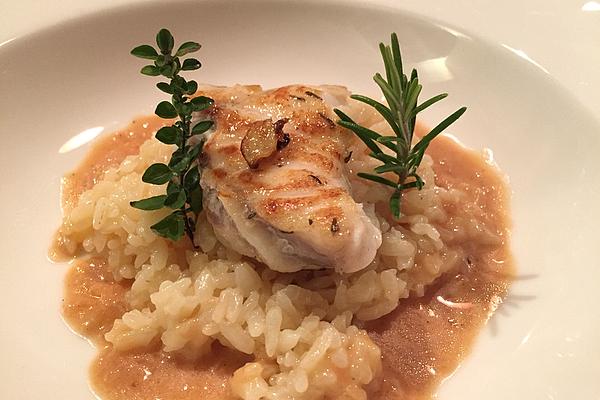 Monkfish Fillet on Pumpkin Risotto in White Balsamic Foam