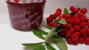 Christmas Rose Hip Jam