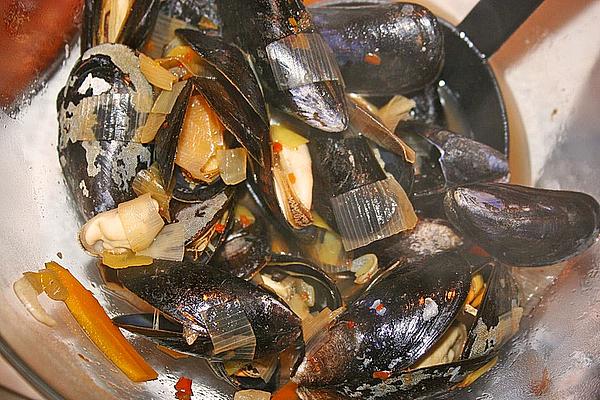 Mussels in White Wine and Vegetable Stock