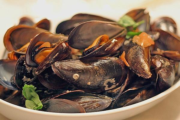 Mussels with Tomatoes