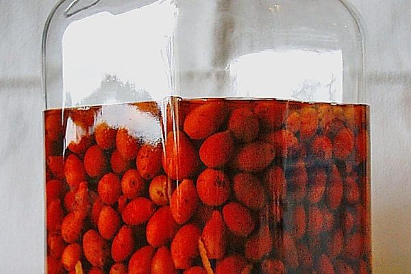 Old Style Rose Hip Liqueur