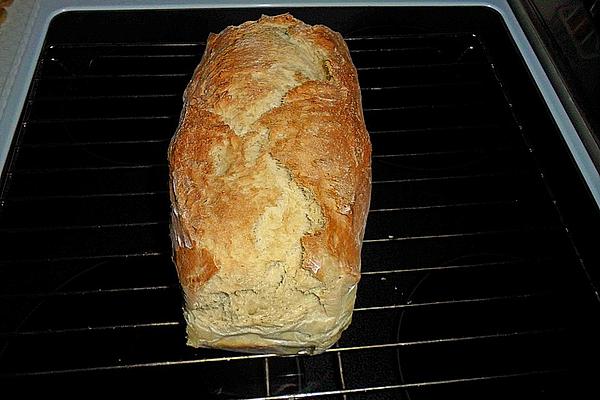 Organic Bread Rolls with Rapeseed Oil