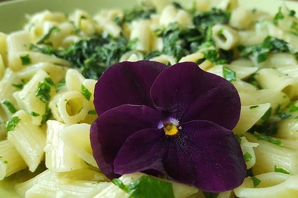 Pasta with Nettle and Cream Sauce