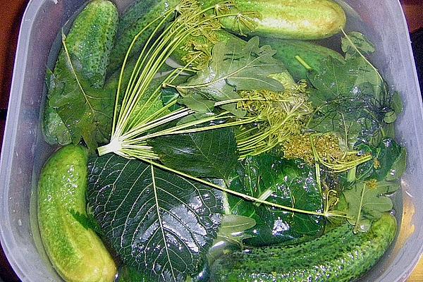 Pickled Cucumbers À La Ada