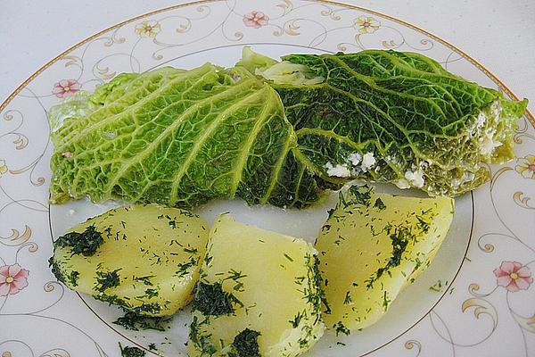 Pikeperch Wrapped in Savoy Cabbage