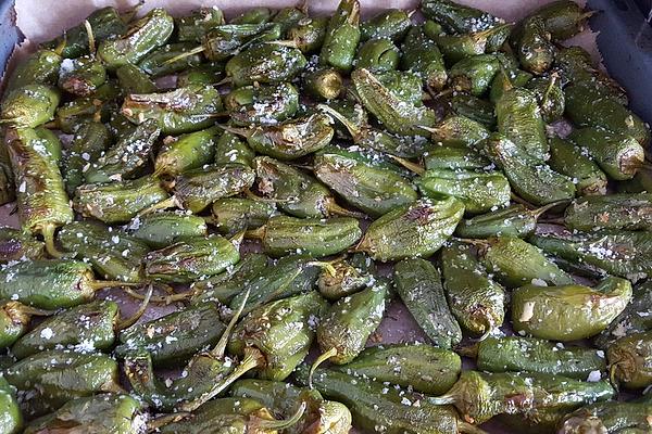 Pimientos De Padrón with Oil in Oven