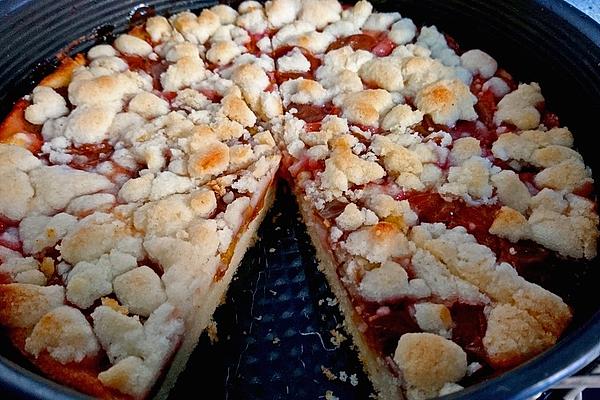 Plum Cake with Cinnamon, Yogurt and Butter Crumbles