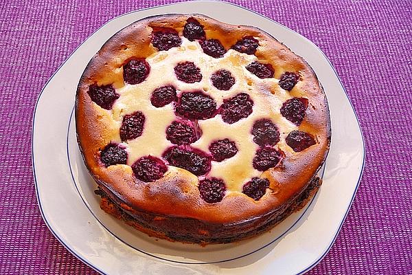 Poppyseed – Blueberry – Cheesecake