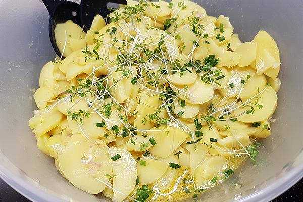 Potato Salad with Chives and Cress in Mustard and Onion Vinaigrette