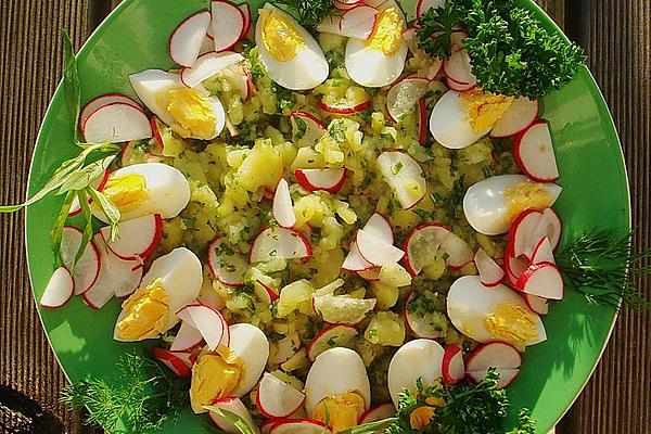Potato Salad with Radishes and Herbs