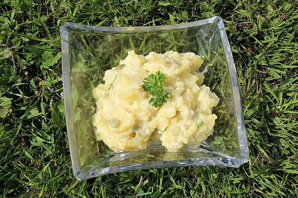Potato Salad Without Oil and Mayonnaise