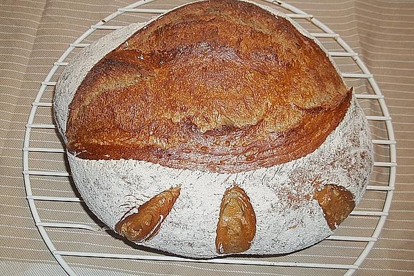 Potato – Thyme – Bread