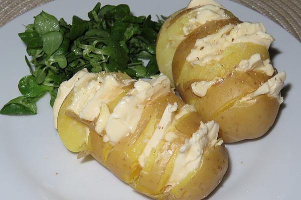 Processed Cheese – Potatoes