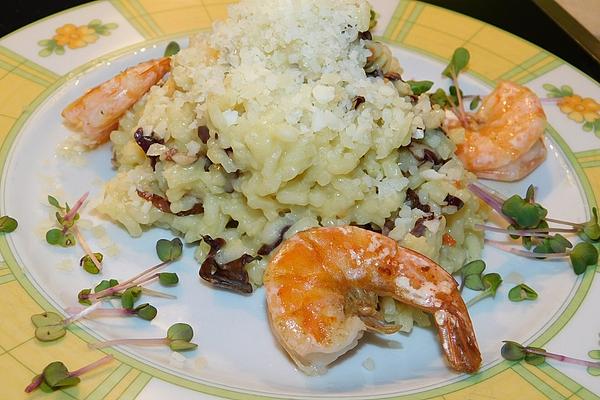 Radicchio – Saffron – Risotto with Scampi