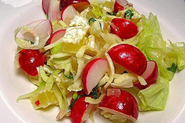 Radish and Fennel Salad with Harz Cheese