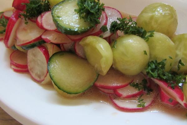 Radish – Cucumber – Salad