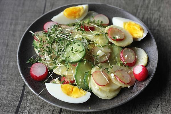 Radish – Radish – Salad with Mustard – Dressing