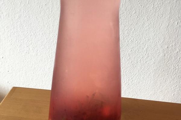 Raspberry and Rosemary Water