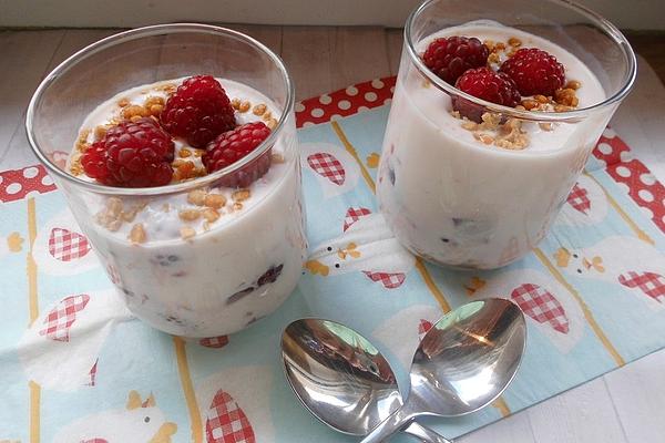 Raspberry Brittle Yogurt