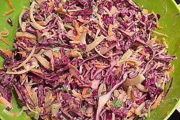 Raw Vegetable Salad with Red Cabbage, Fennel and Carrots