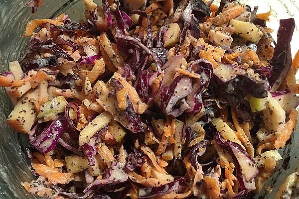 Red Cabbage Salad with Carrots, Apples and Poppy Seed Dressing