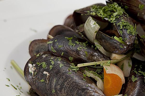 Rhenish Style Mussels