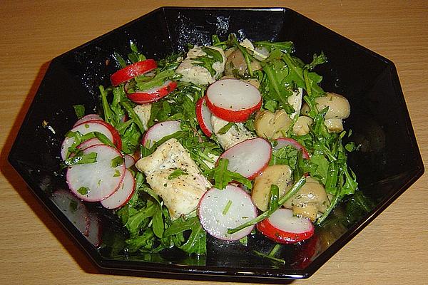 Rocket Salad with Radishes and Chicken Breast
