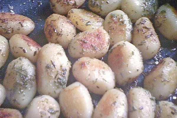 Rosemary – Fennel – Potatoes from Pan