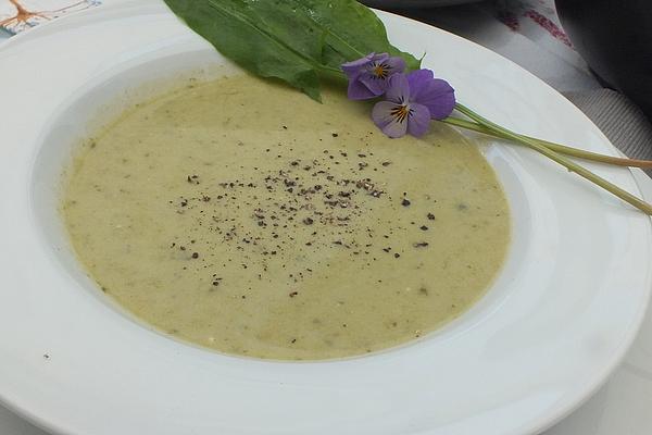 Rouille`s Sorrel Soup